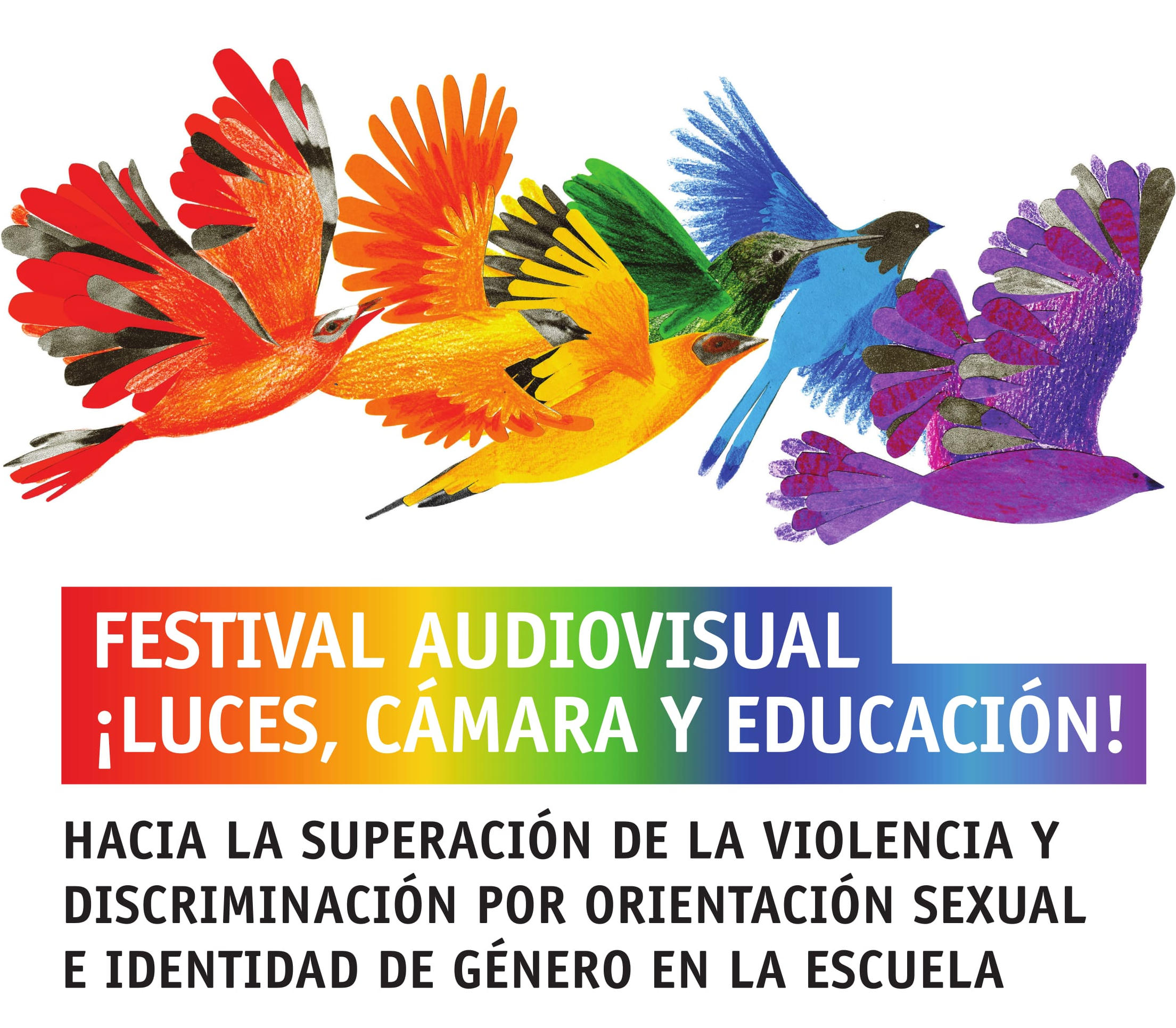 CLADE lanza segunda edición del festival audiovisual “¡Luces, cámara y educación!